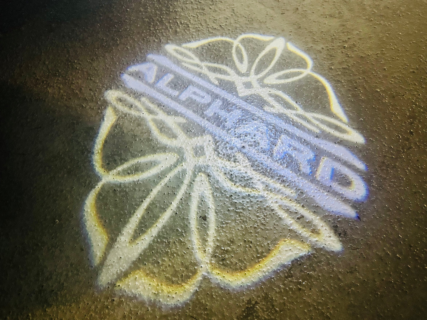 2008-2014 TOYOTA ALPHARD / VELLFIRE LOGO PUDDLE LIGHT